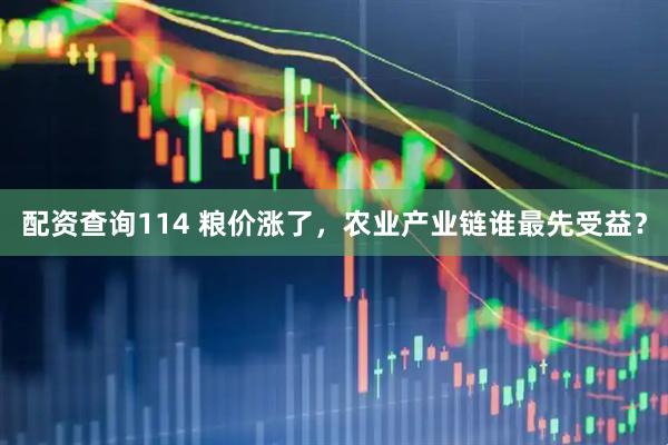 配资查询114 粮价涨了，农业产业链谁最先受益？